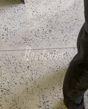 ���������, ���������� ����� � ������������� ���������, ������� 11 ��� ������� �������� ������ � 2 ���� ������