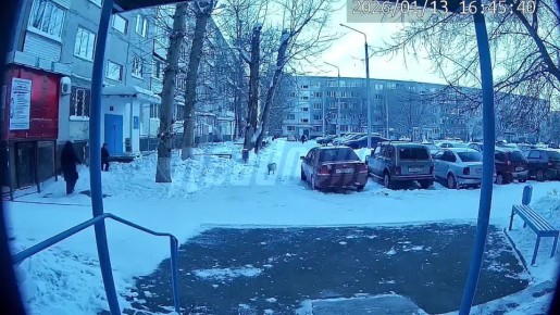 �������� ������ ����������� ����� � ������������ ������� � �� ������ �� ������ ���������� ���� �����