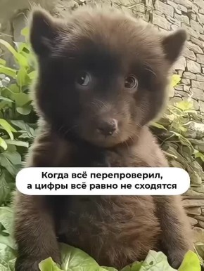 ��, � ��� � ������ �����?. ������, ��� �� �� ��� 100 ������� � ���� �������, �� ����� ����� � ��� ��������� �������� � ����� ������ �� �������� ��� ������� ������ �� ��������� � �����������