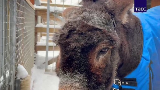 ����� �� ������ �����, ����� "������" � ����������� ����� � ���� ��� ����������� � ���������� �������, ��� ������������� � ����� � �������, �������� ���� � �����-������ ��������