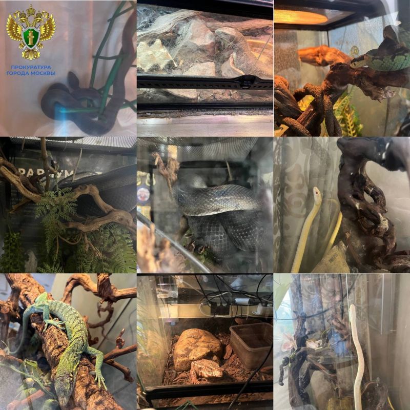 �������� ���� ������� 16-������ ������� ���� � ������