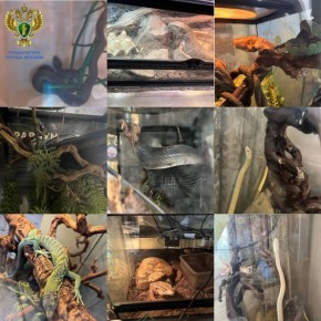 �������� ���� ������� 16-������ ������� ���� � ������