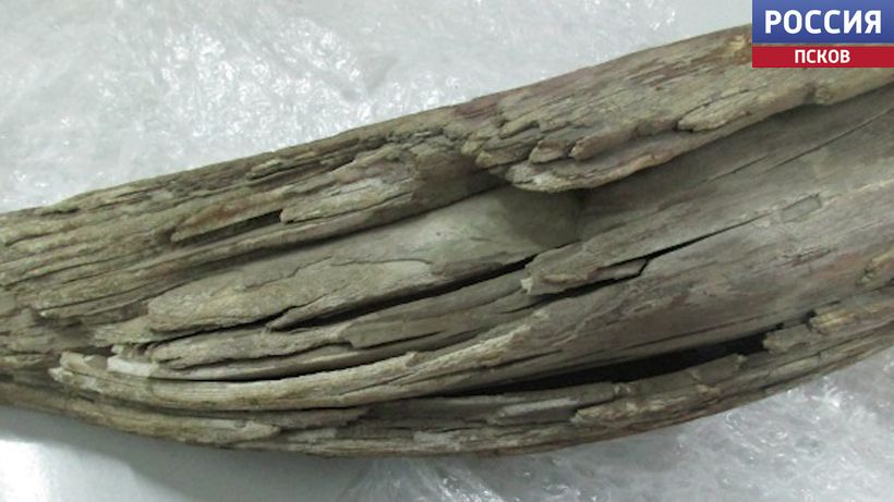 Житель Молдавии пытался вывести за рубеж бивень мамонта Житель Молдавии пытался вывести за рубеж бивень мамонта