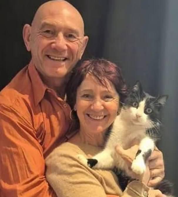 Потерявшийся кот прошел 250 километров и вернулся домой