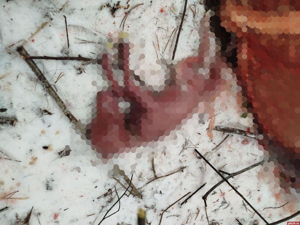 �������� ���������� ������ � ��������� ������: ����������� ����������� �������������