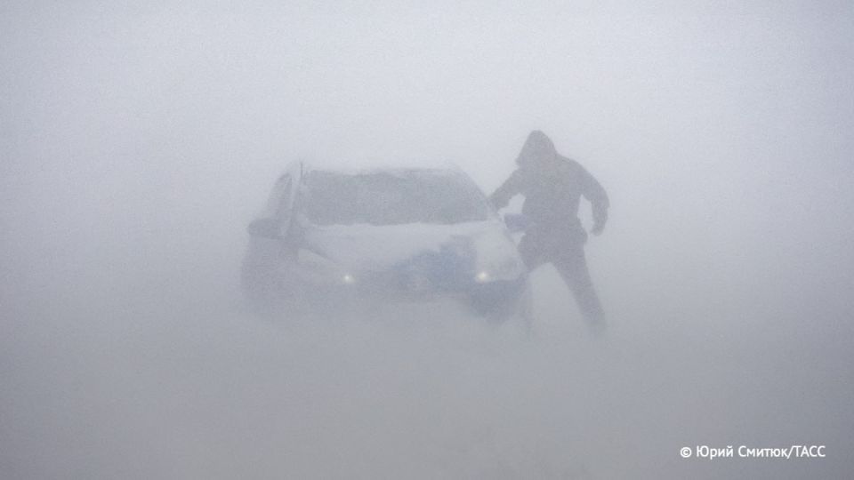 ����� � ���������� ������� ����� ��������� � ����� ������ �� ����� 29 ��������, �������� ���� � ��������������