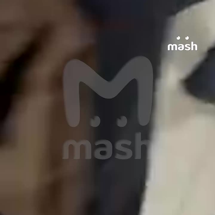 У напавшего на нижнекамскую школу № 37 изъяли нож, маску, петарды и тактические перчатки