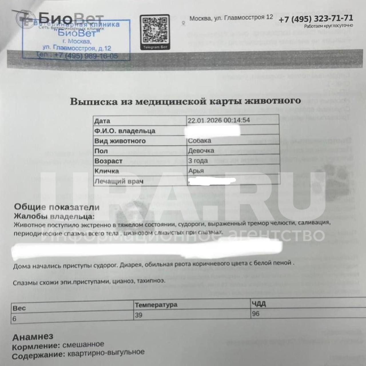 Семь собак погибли меньше чем за сутки в ЖК «Мещерский лес» на западе Москвы, одна в коме, сообщили URA.RU местные жители. Они уверены, что смерти питомцев — дело рук догхантеров Семь собак погибли меньше чем за сутки в ЖК «Мещерский лес» на западе Москвы, одна в коме, сообщили URA.RU местные жители. Они уверены, что смерти питомцев — дело рук догхантеров