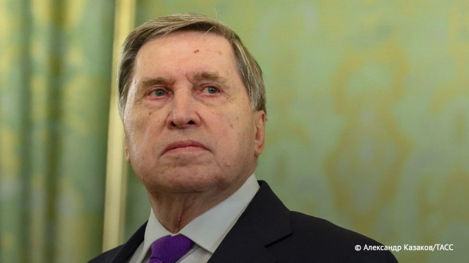 ������ �������, ��� ������ ���� � "����� �����" �������� ����� ������������ �� � ���