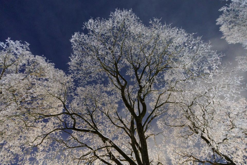 �� -14 �������� ������������ � ��������� ������� 23 ������