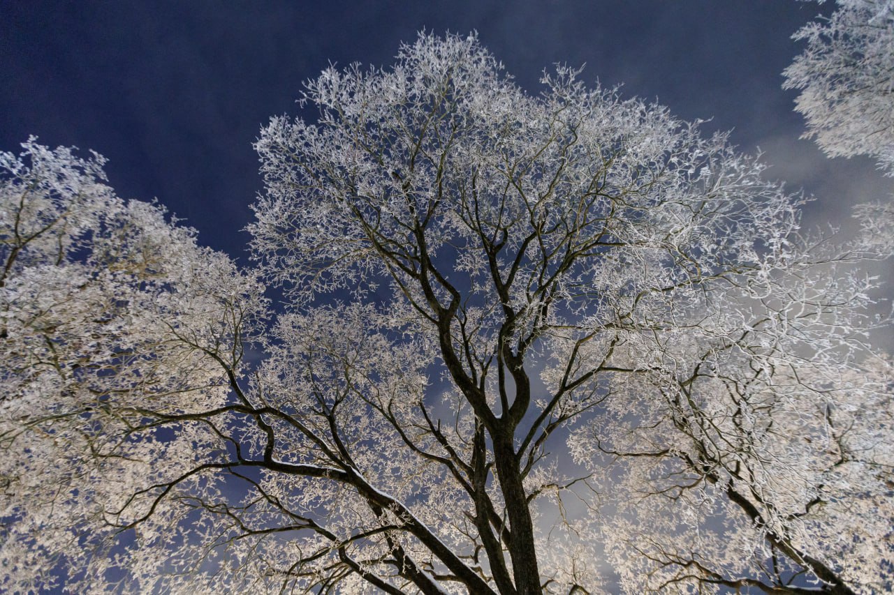 До -14 градусов прогнозируют в Псковской области 23 января