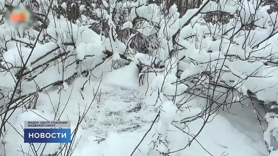 ���� ��������� � �������-�������: ������� ��������� �������� ��������� ��� ������ ����� ������ ����������� ������ ��������� �������