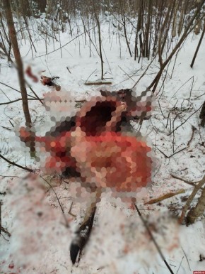 �����������, ������� ���������� ������ ������ ������, ������ ������� �������