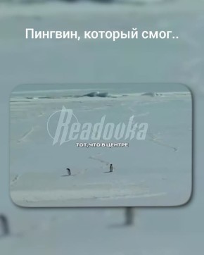 ��� �������, ������ � ����, ���� �������� �������� � ���������� ���������