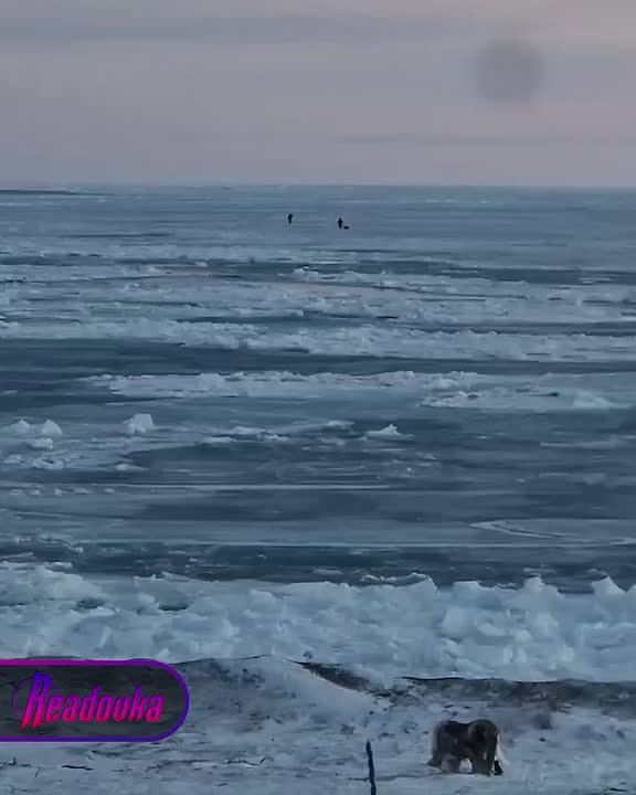 Двух рыбаков вынесло в открытое море на Сахалине — они вышли на лед, несмотря на ограничения