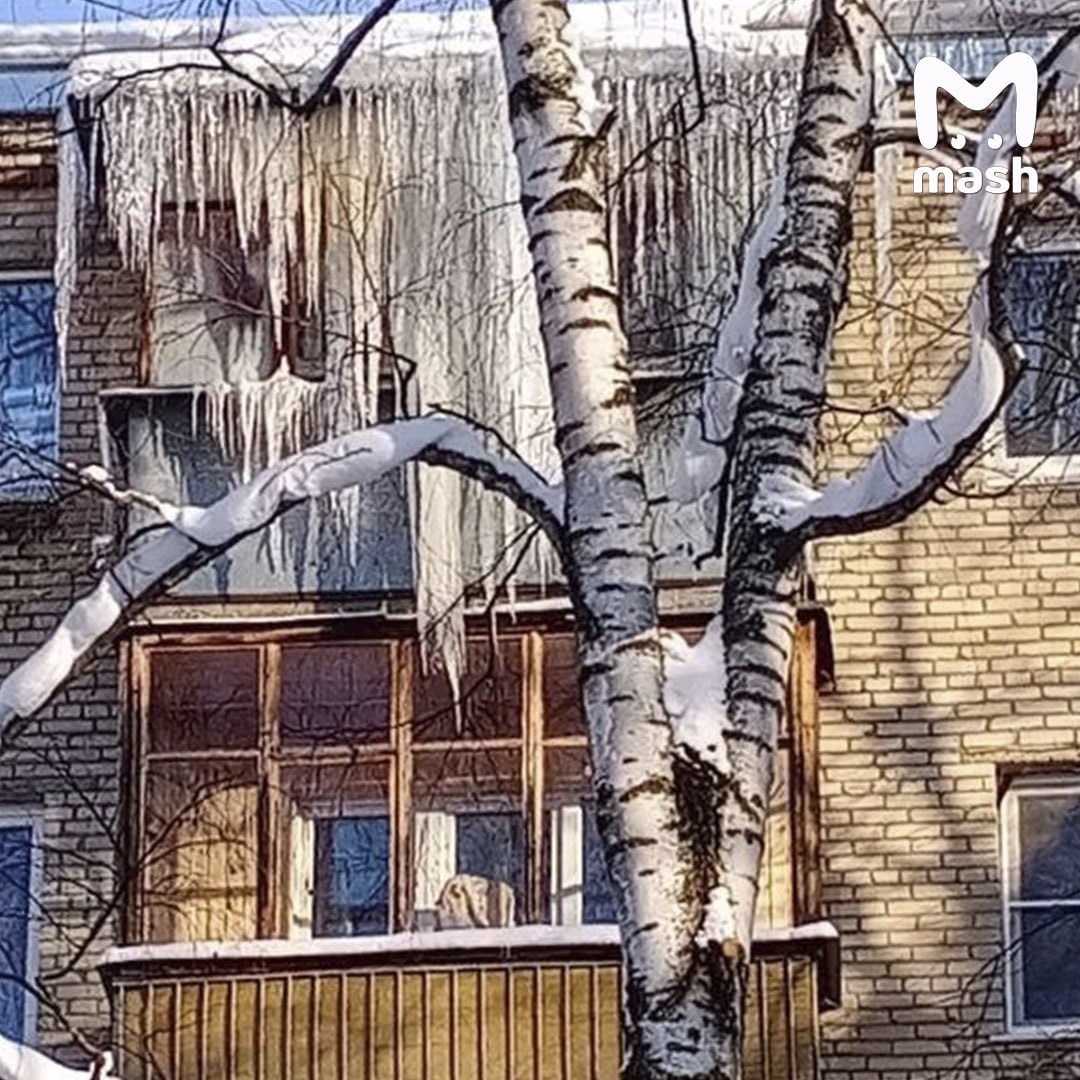 Настоящий ледниковый апокалипсис нагрянул в Подмосковье Настоящий ледниковый апокалипсис нагрянул в Подмосковье