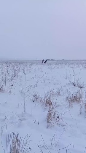 ������ �� ���������� �������� ����� ������������ ���� ����� � �������� ������ ����������