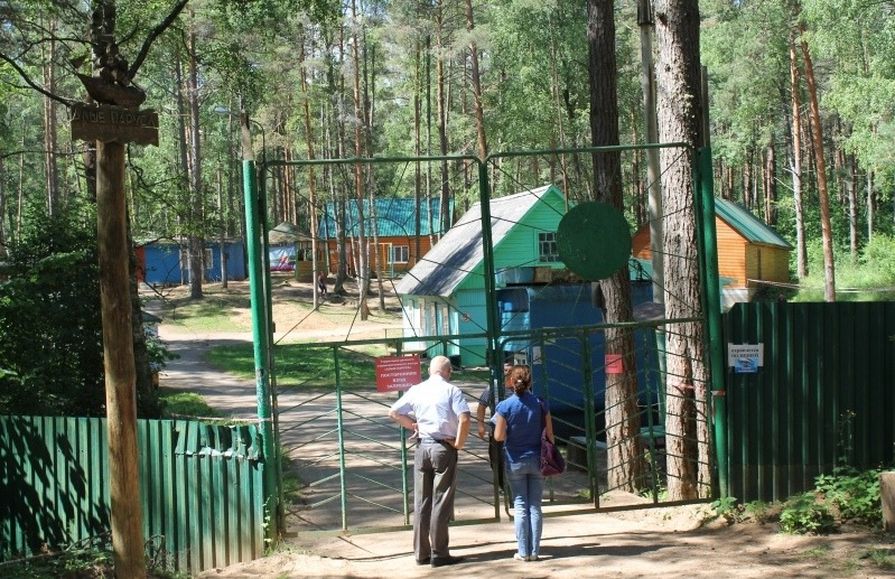 В 2025 году Отделение СФР по Псковской области обеспечило бесплатными путевками в санатории более 800 жителей региона