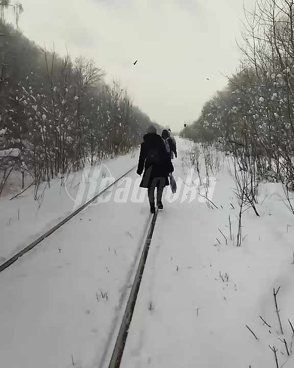 Пенсионеры и дети шли 3 км до станции в 23°C из-за поломки электрички в Нижнем Новгороде