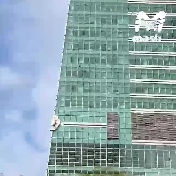 Алекс Хоннольд залез на небоскрёб Taipei 101 высотой 508 метров на Тайване