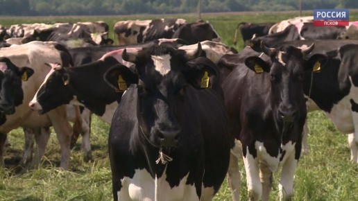 �� ������ ����������, � ������-������ 2025 ���� � ���������� ��������� ������� ����������� 417,5 ���