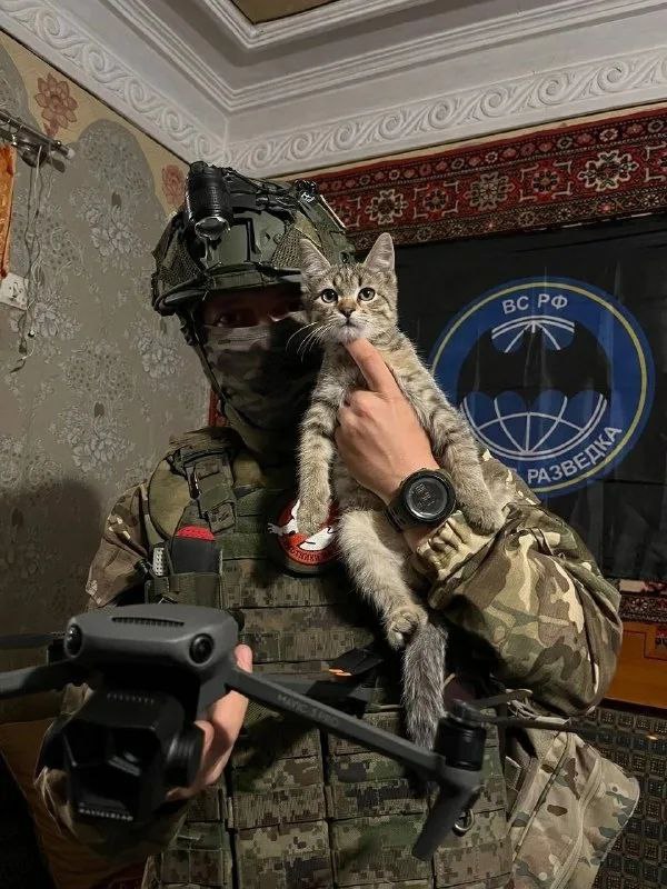 Моменты СВО.Будни фронта.. @Tristatridzatri Моменты СВО.Будни фронта.. @Tristatridzatri