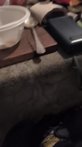 ���� �������: ������� �������� � ���� � ���