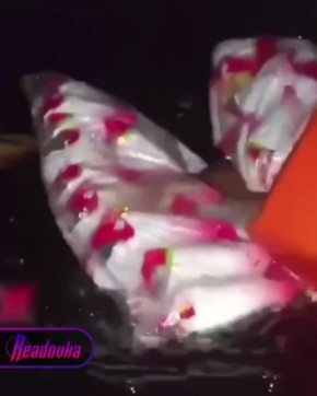 ����� � ����� ��� 350 ������ �� ����� ������� � ������� �������� � 13 ������� �������