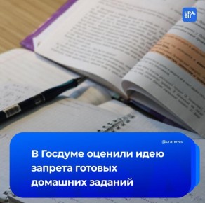 «Это чересчур». В Госдуме отреагировали на идею запрета сайтов с готовыми домашними заданиями