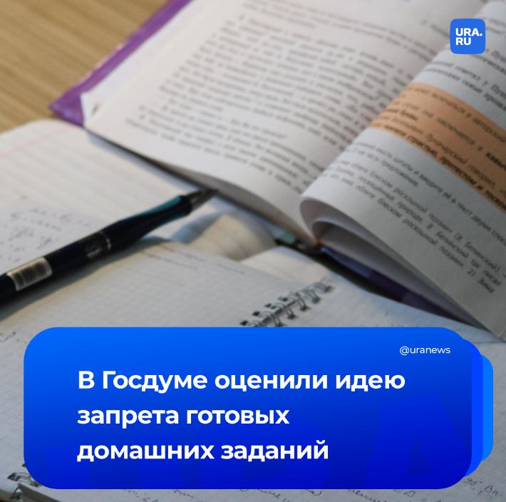 «Это чересчур». В Госдуме отреагировали на идею запрета сайтов с готовыми домашними заданиями