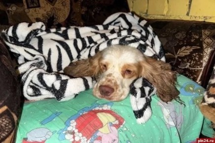 ���� �������� �� � ����� � ��� �������� ����