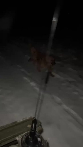 ��, "������" �� �����, ����� ������ ��������� �������