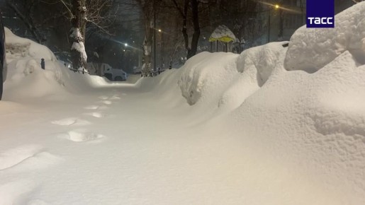 ����� 20% �������� ����� ������� ������ �� �������� ���� � ������ �� ��������������� ������, ������� ������� ���������� "�����" ����