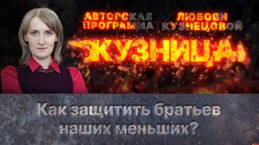 «Кузница»: Как защитить братьев наших меньших?