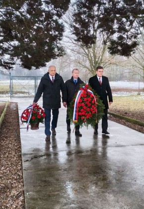 � ������������� ��� ������ ����� ��������� � 81-� ��������� ������������ ������� ������ ����������� ����������������� ������ � ������ ������ ������-��������