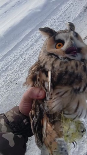 Фронтовые будни. Момент одного спасения