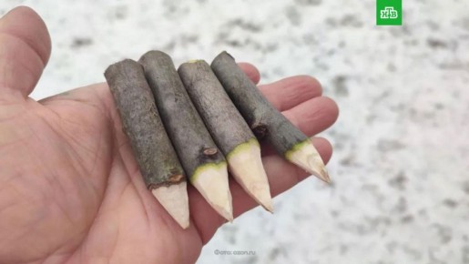 � 2025 ���� � ������ ������� ����� �� ���������� ����������