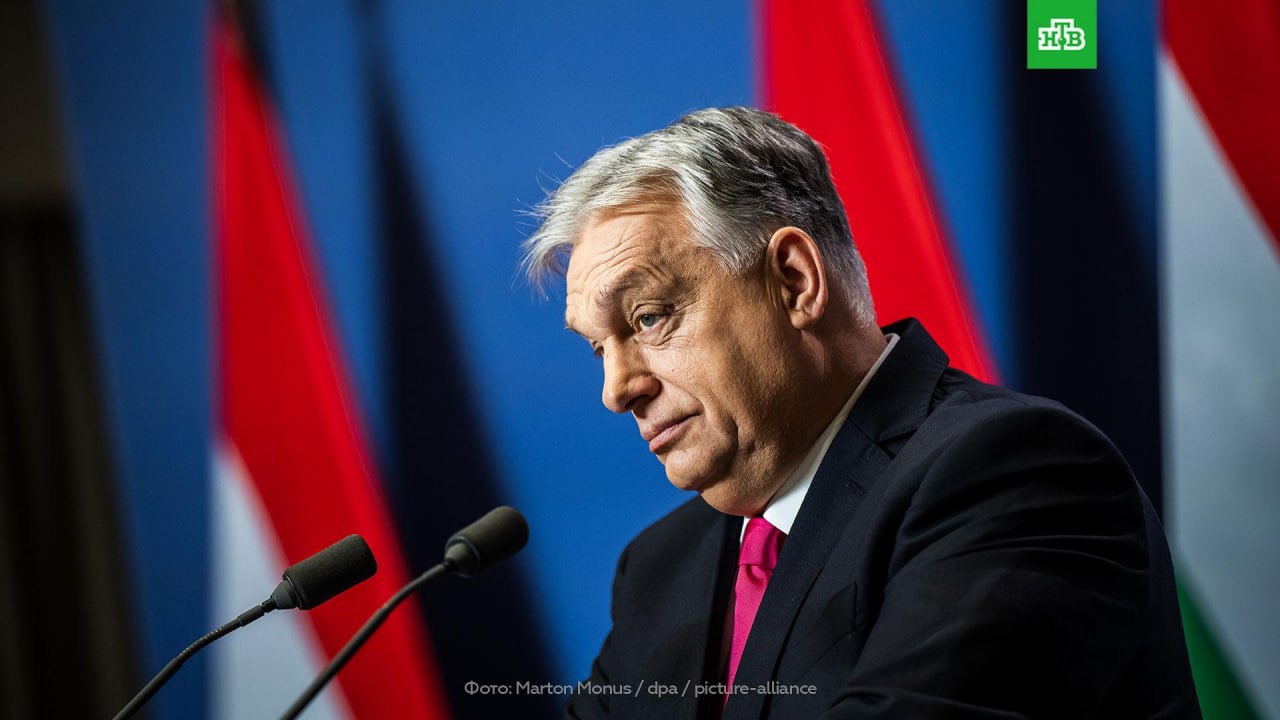 Зеленский разозлил Орбана: венгерский премьер заявил, что угрозы со стороны Украины не заставят Венгрию отказаться от защиты интересов ее граждан