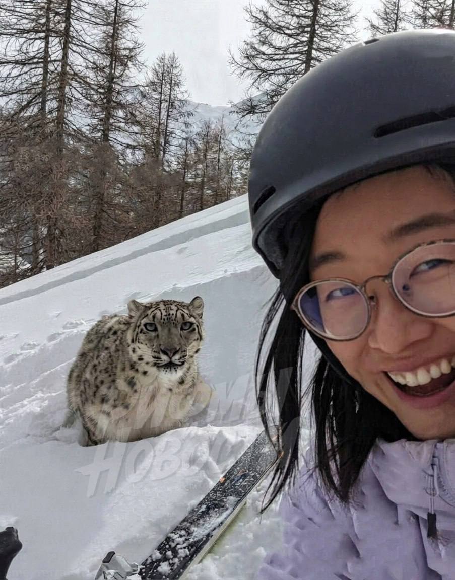 Селфи со снежным барсом закончилось окровавленным лицом и страхом на всю жизнь