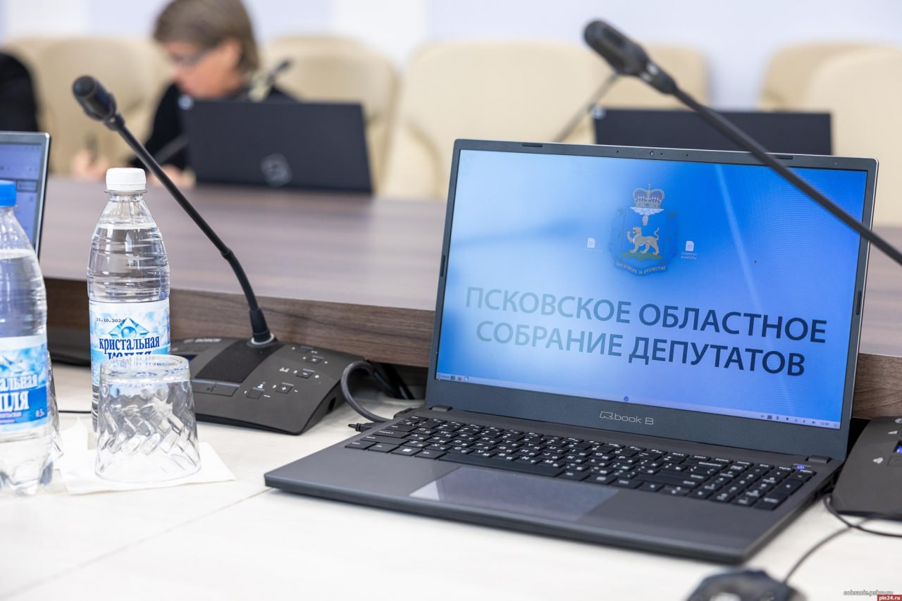 Повысится ли рождаемость в Псковской области? Депутаты сомневаются