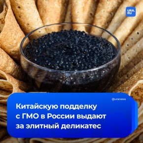 ������ ���� ������� �������� �� ��� ���������� ���������� �����