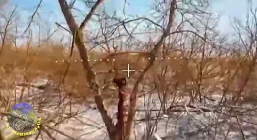 Наши операторы дронов поделились результатами своей работы по очищению российской земли от нацизма!