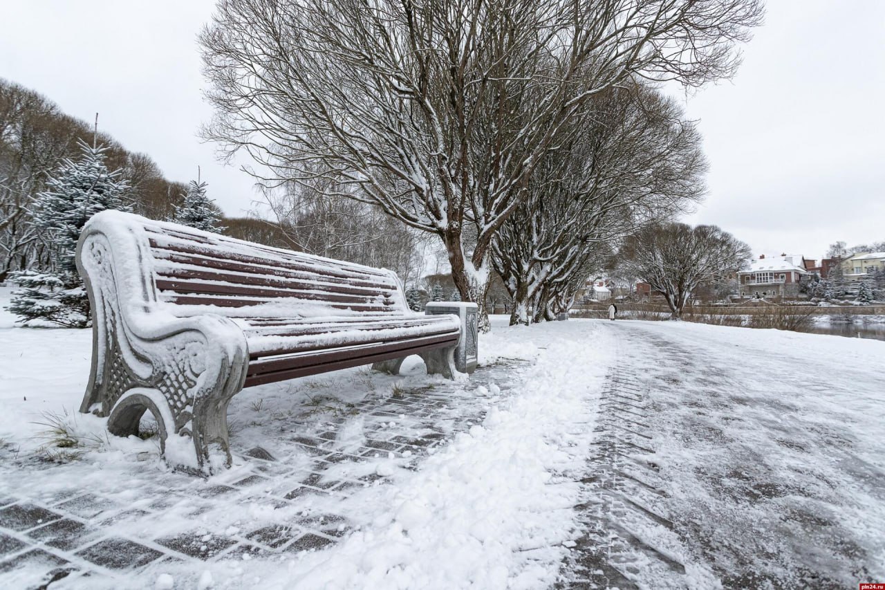 На Псковскую область надвигаются сильные морозы