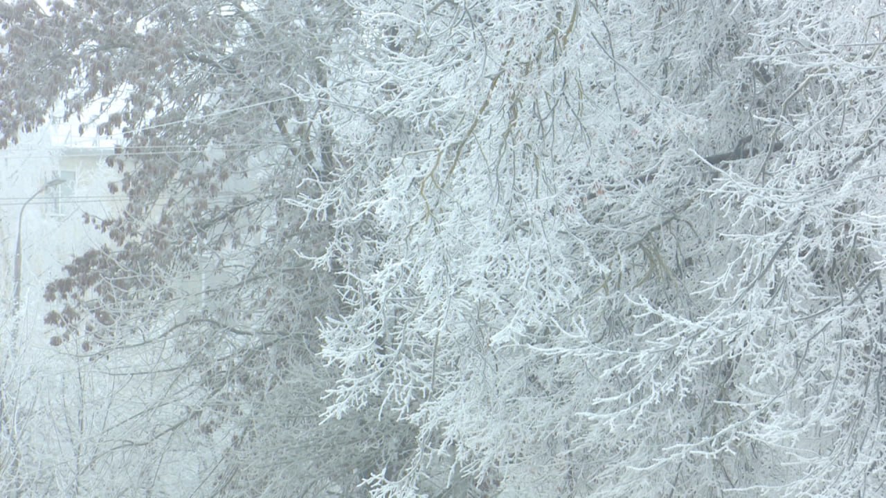 "Классическая" зима вернулась "Классическая" зима вернулась