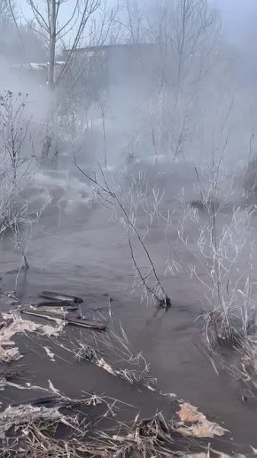 ������� ������ �� �������� ����������� �� ����� ��������� ��������� � ������