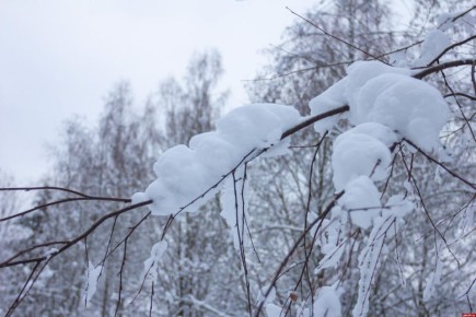 В Великих Луках в январе выпало более 100% месячной нормы осадков