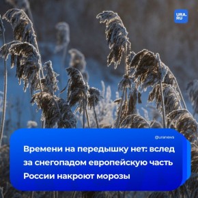 �������������� ������� ������� �� ������� �������