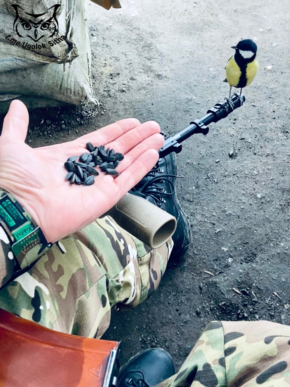 Атмосфера войны. @Ugolok_Sitha Атмосфера войны. @Ugolok_Sitha