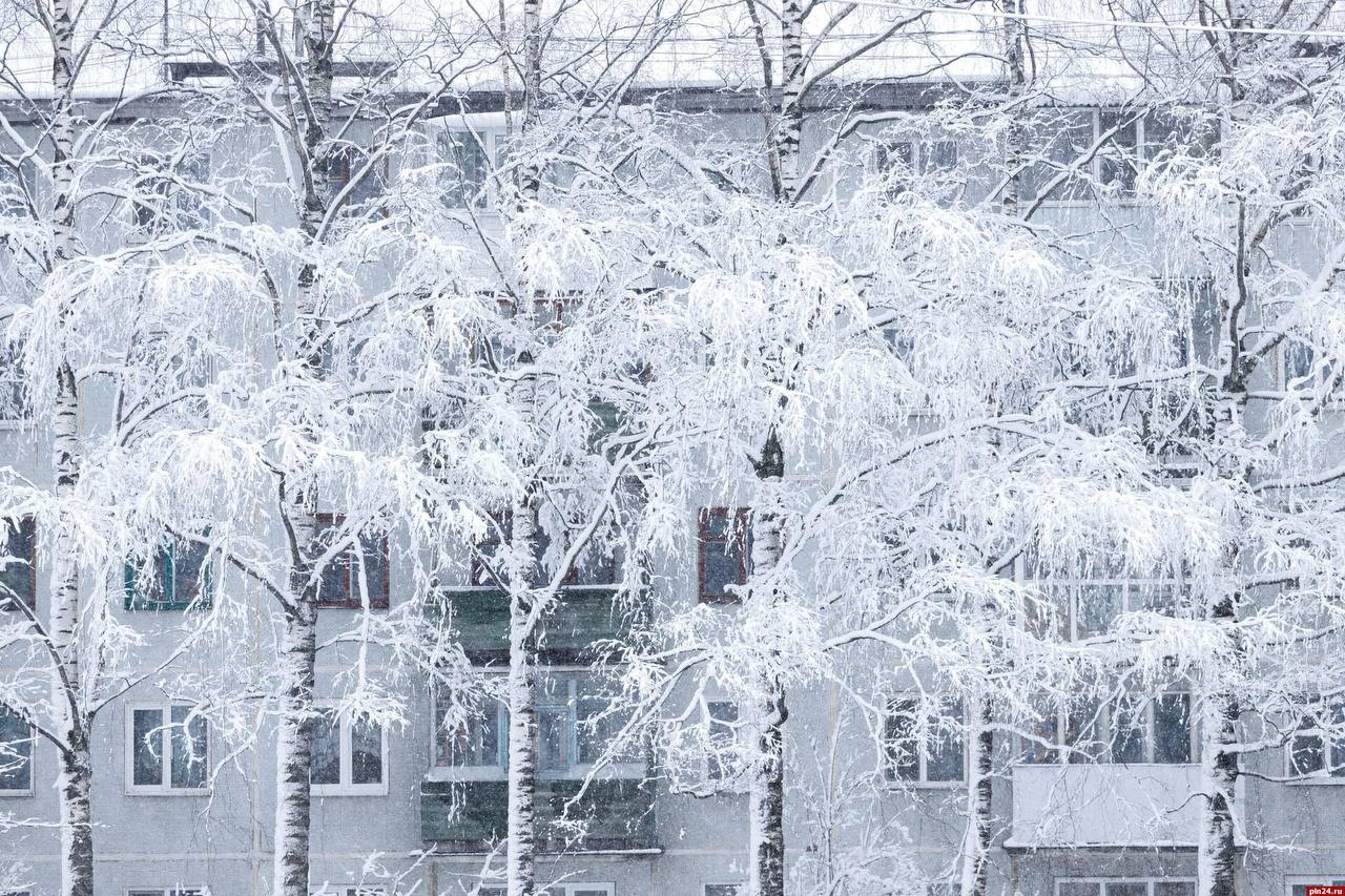 В Псковской области 1 февраля — до –30°C!