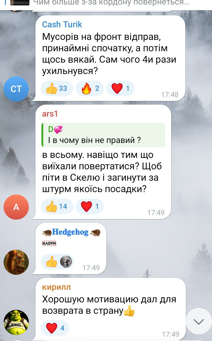 Чем больше из-за границы вернется физически состоятельных мужчин мобилизационного возраста, тем легче будет армии, людям и Украине Чем больше из-за границы вернется физически состоятельных мужчин мобилизационного возраста, тем легче будет армии, людям и Украине